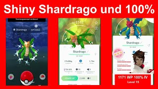 Shiny Shardrago 100 Shardrago durch Feldforschung  Pokemon GO Deutsch 307 [upl. by Notak579]