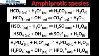 R313 Amphiprotic species [upl. by Khorma67]