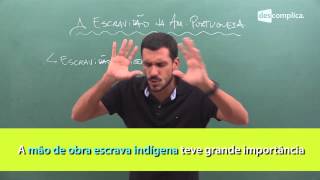 A Escravidão e Resistência Indígena e Africana na América  História  Descomplica [upl. by Ecallaw279]