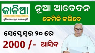 Kalia Yojana New Apply Update 2023  Kalia Yojana Online Apply  Odisha TV [upl. by Pavyer]