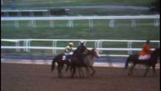 Triple Crown Winners Secretariat Seattle Slew and Affirmed [upl. by Eahsat]