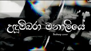 Udumbara Manaliye Cover Song  Besharp Melbourne උදුම්බරා මනාලියේ  දයාරත්න රණතුංග [upl. by Otti]