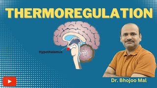 Thermoregulation  What is thermoregulation Class 12 Biology  by Dr Bhojoo Mal [upl. by Nnaasil]