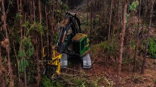 Logging Equipment Doing Logging Things  Drone Footage [upl. by Lexie]