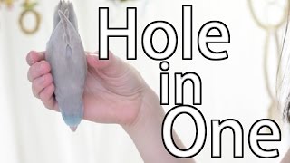 Hole In One  Training Tutorial [upl. by Lodovico]