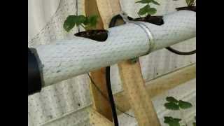 Easy To Build DIY Strawberry TowerHydroponics System [upl. by Otina795]