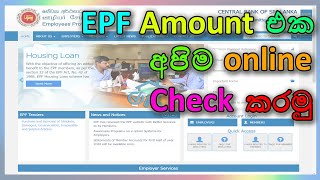 Check Your EPF Account Balance Online  Sinhala  ඔයාගේ සේවක අර්ථසාධක අරමුදල ඔන්ලයින් බලමු [upl. by Iron685]