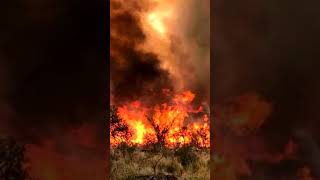 INCENDIOS FORESTALES CORDOBA 2024 shorts [upl. by Mathi]