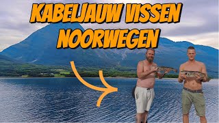 WE GAAN VISSEN OP KABELJAUW IN EEN FJORD IN NOORWEGEN 218 [upl. by Mady828]