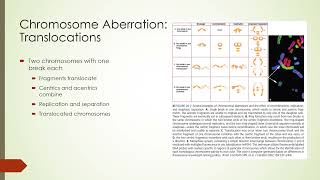 11 Radiation Biology I [upl. by Lorimer]