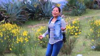 Mily Montes  Parranditas Mix 2015 Full HD Primicias [upl. by Sandberg]