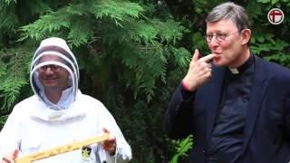 Die frommen Bienen des Kardinals [upl. by Cired]