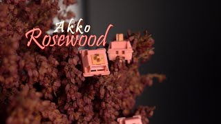 Akko Rosewood Switches  Deep amp Muted Choice In the New 2024 Akko Switch Line [upl. by Crysta352]