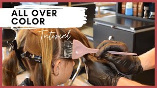 All Over Hair Color – Single Process Color Application With a Bowl and Brush [upl. by Debo]