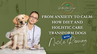 From Anxiety to Calm How Diet and Holistic Care Transform Dogs [upl. by Ennaus500]