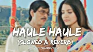 Haule Haule slowed amp reverb rab ne Bana Di Jodi  Lofi Lovers 01 [upl. by Cohl355]