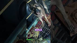 Dogmeat rotates suspiciously in fallout 4 [upl. by Loraine]