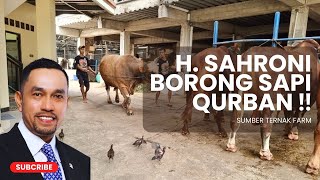 H AHMAD SAHRONI BORONG SAPI PULUHAN EKOR ‼️  SUMBER TERNAK FARM [upl. by Nelyag]