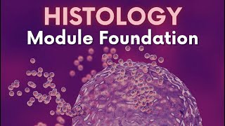 Epithelium 1  Foundation  Dr Nada [upl. by Audry]