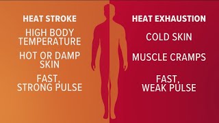 Heat stroke heat exhaustion symptoms [upl. by Nniw]