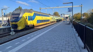 De VIRM 9556 groenetrein op station Heerhugowaard op 23 en 24 Oktober 2024 treincompilatie ns [upl. by Wawro]