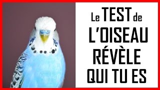 TEST PSYCHOLOGIQUE  LE TEST DE l’OISEAU RÉVÈLE QUI TU ES [upl. by Speroni]