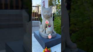 神社御朱印巡り⛩️東京妙義神社 勝負の神様 駒込妙義神社 神社仏閣 パワースポット神社 [upl. by Twedy]