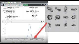 Rare event particle identification Hydro Insight  the perfect Compliment to your Mastersizer 3000 [upl. by Ayita]