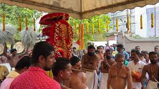 Trichennamangalam Mahadeva Temple Festival  4 March 2020 [upl. by Elidad545]