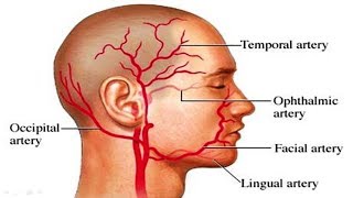 Poor Posture and Headache  The connection between poor posture and headaches [upl. by Bobette]