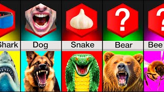 Comparison Animal Attack Survival Tips [upl. by Noemys]