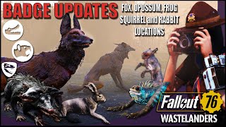 Where to find Fox Opossum Frog Squirrel amp Rabbit  Wastelanders Scout Badge Update  Photos [upl. by Arria]