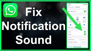 How To Fix WhatsApp Notification Sound EASY [upl. by Grassi466]