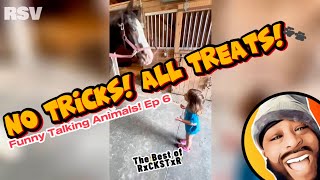 Best of RxCKSTxR Funny Talking Animal Voiceovers Compilation Ep 6 [upl. by Letnom]