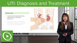 UTI Diagnosis and Treatment – Nephrology  Lecturio [upl. by Ehsom]