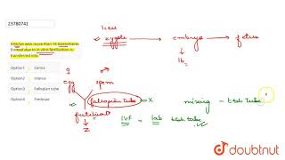 Embryo with more than 16 blastomeres formed due to in vitro fertilization is transferred into [upl. by Aener]