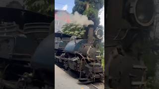 Chalo Chaya Chaya chayaaaafor a breakshorts shorts viralvideo train himalayan darjeeling [upl. by Retla]