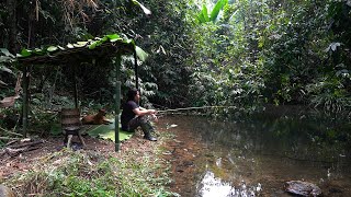 Bamboo Survival Shelter Stream Fishing Catch and Cook Survival Alone  EP242 [upl. by Hanima]