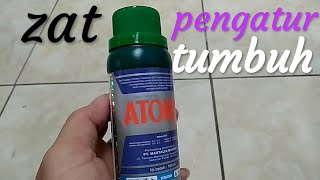 Review ZPT ATONIK [upl. by Ballou149]