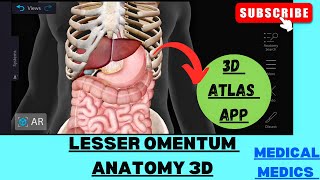 Lesser Omentum  Anatomy of Lesser Omentum 3d  Abdomen Anatomy [upl. by Samaria]