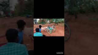 bullock cart race in fire🔥🔥🔥 [upl. by Arlin]