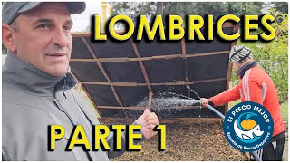 LOMBRICES CRIA DIRECTA A LA TIERRA  PARTE 1 [upl. by Snebur45]