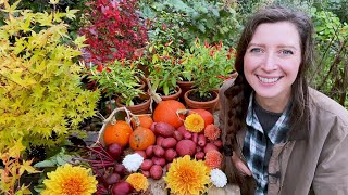 October Allotment Garden Update 2023 [upl. by Anitneuq524]