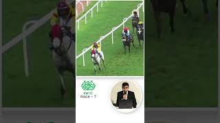 Race 7 The D N Zodge Plate Post race review 19th Oct 2024 [upl. by Lukash]