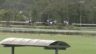 Wauchope 19 10 2024 Race 3 [upl. by Joleen]