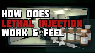 How it Would Feel Lethal Injection [upl. by Estren605]