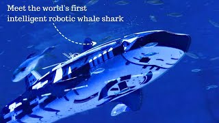 Meet the worlds first intelligent robotic whale shark [upl. by Asertal]