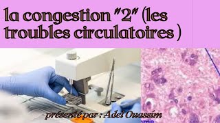 Les troubles circulatoire La congestion partie 2  le foie et le poumon cardiaque  Anapathologie [upl. by Knapp]