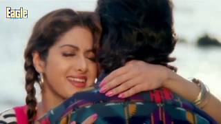 Jaanam Meri Jaanam Eagle Jhankar Udit Narayan Alka Yagnik MrBechara [upl. by Marlee827]