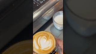 Coffee Nirvair Pannu ☕️coffee coffeelover nirvairpannu trending like share subscribe reels [upl. by Nnaeitak]